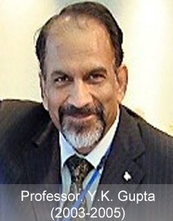 Professor Y.K. Gupta